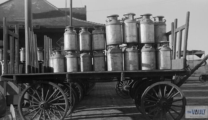 The Rise of Dairy Farming in Pendleton County